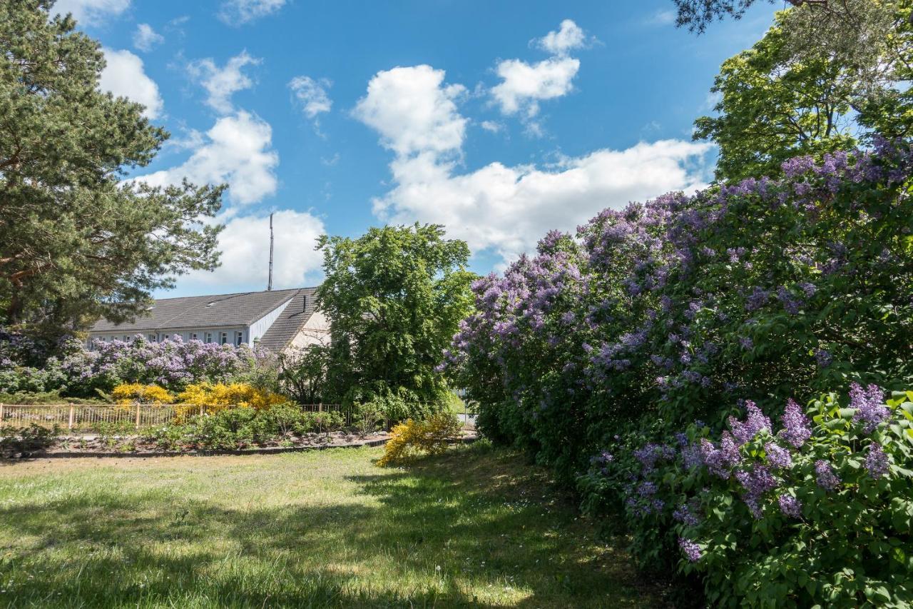 Villa Premiumhaus Bodden Und Mehr-Brise Born Esterno foto