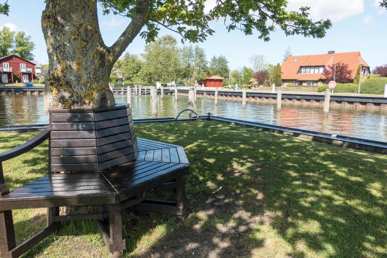 Villa Premiumhaus Bodden Und Mehr-Brise Born Esterno foto